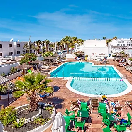 Livvo Oasis *