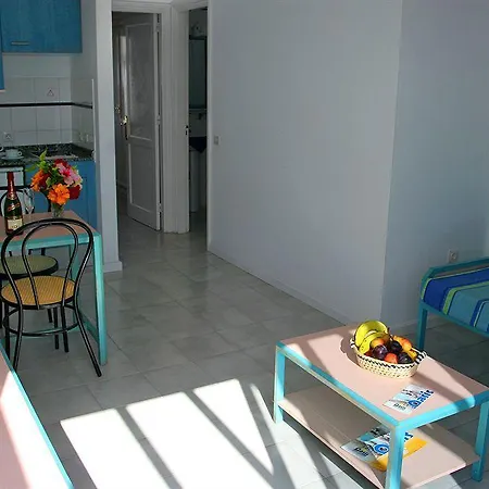 Livvo Oasis
