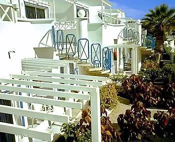 Livvo Oasis *