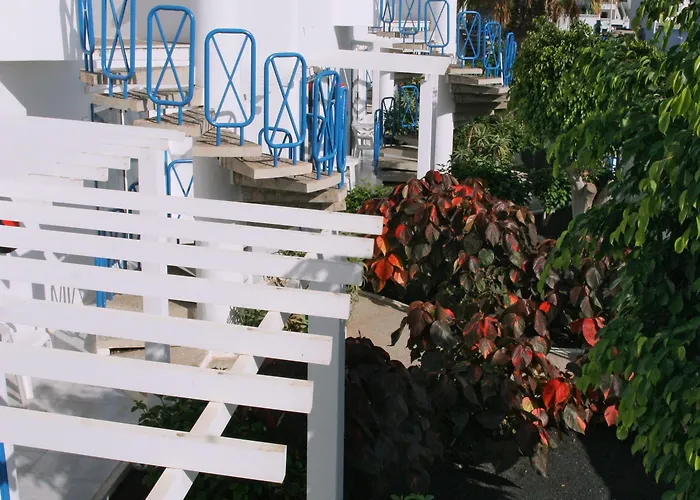 Livvo Oasis Apartmán