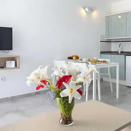 Livvo Oasis Apartment *