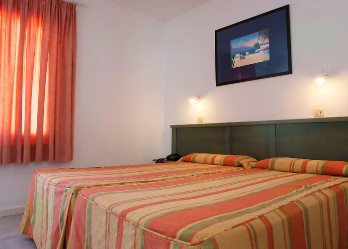 Livvo Oasis 卡门港